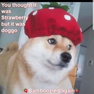 Meet your Posher, Kaitlyn